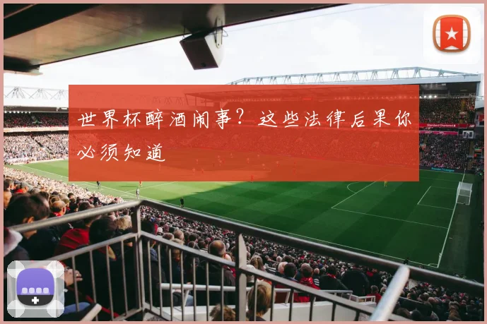 世界杯醉酒闹事？这些法律后果你必须知道